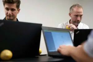 Lemon Marketing arbejder